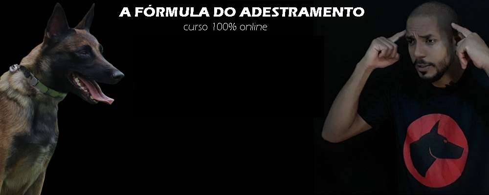 Capa: Baixar Fórmula do Adestramento 2.0: Dionatas Piloto Completo