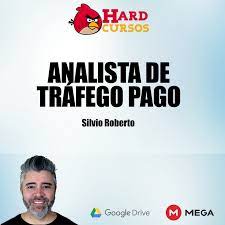Capa: Analista de Tráfego Pago Silvio Roberto: Baixar Agora!