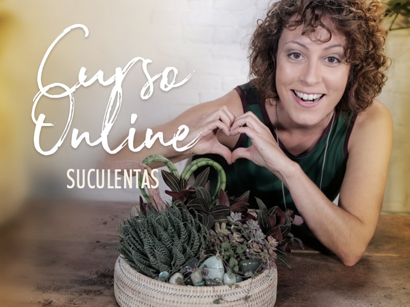 Capa: Arranjos com Suculentas: Baixe Curso Carol Costa Oficial