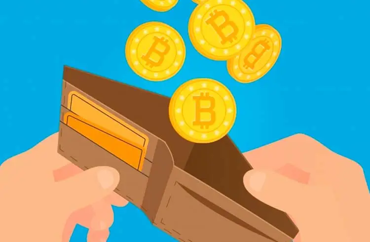 Capa: Curso Bitcoin Download Completo: Carteiras e Segurança 2024