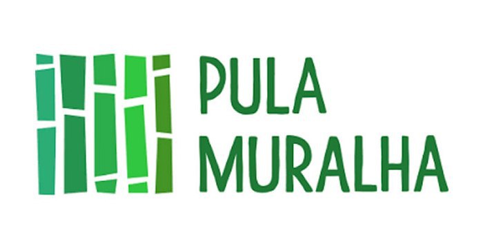 Capa: Curso Chinês Pula Muralha Si Liao Download Rápido