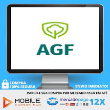 Capa: Curso Barsi AGF: Download Exclusivo do Jeito Barsi de Investir