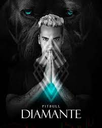 Capa: Curso Pitbull Diamante 3 Tom Freire: Baixar + Linha Roxa Mayke