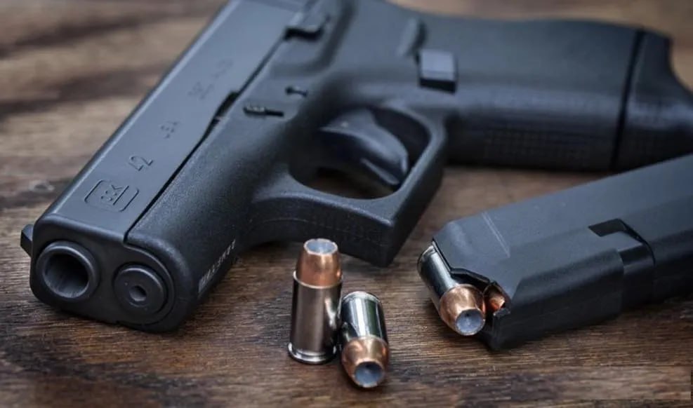 Capa: Baixar Curso Despachante de Arma de Fogo + Suporte Venilton Serpa