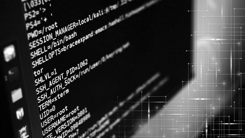 Capa: Baixar Fundamentos Ethical Hacking com Marcos Flávio Completo