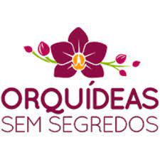 Capa: Orquídeas de Exposição: Baixar Curso Completo Professor Alberto
