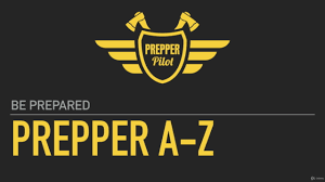 Capa: Prepper Pilot: Baixar Curso Urban Survival SHTF - Bernhard Rauscher