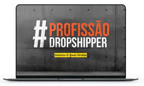 Capa: Dropshipper Profissional: Baixar Curso Completo (2024)