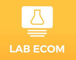 Capa: Baixar Treinamento LAB ECOM: O Guia Definitivo