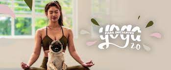 Capa: Baixar Yoga Para Iniciantes 2.0 BTFIT: Download Completo